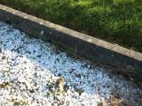image of grave number 874160